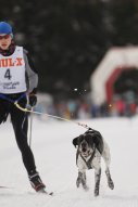 Lenzerheide 2013